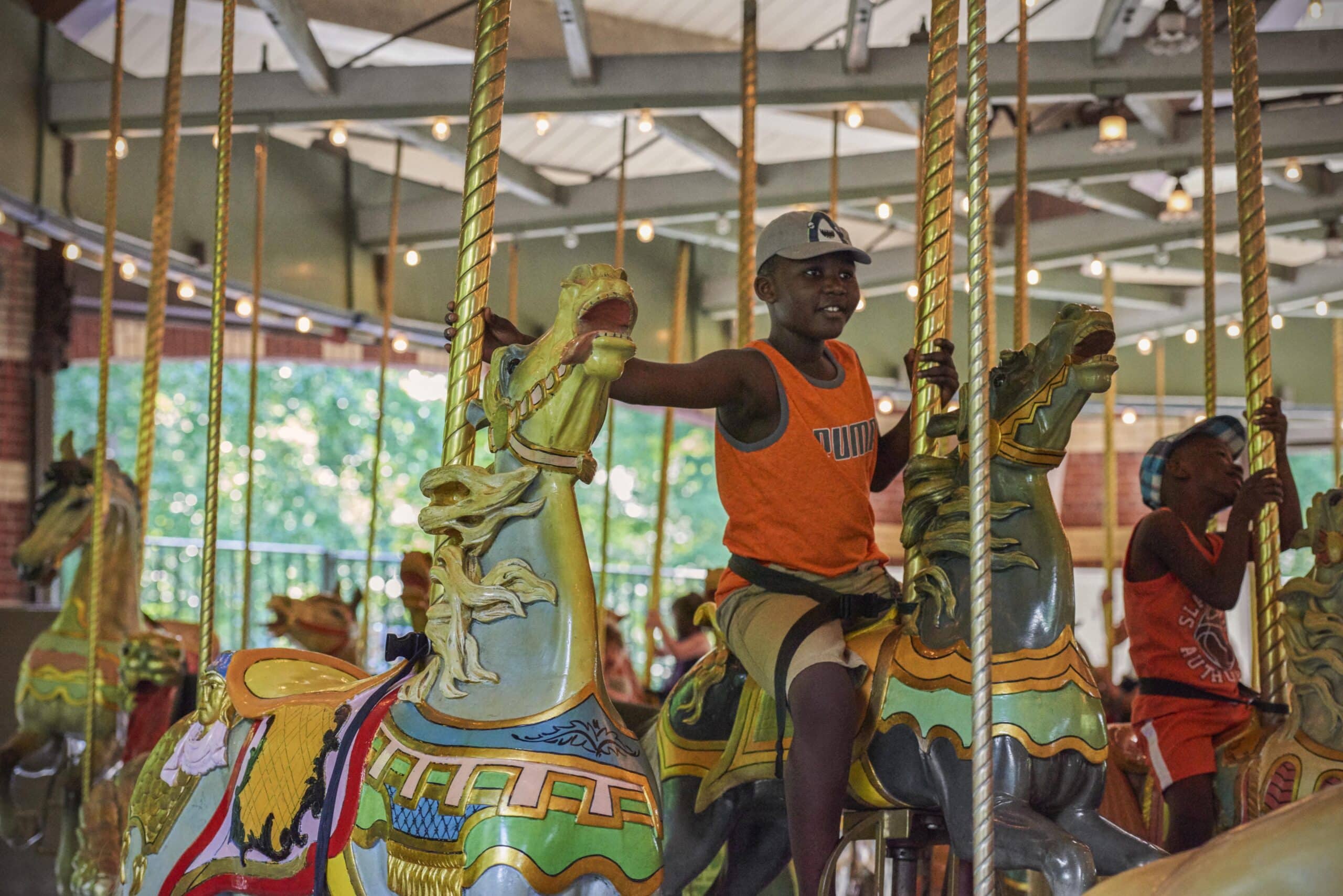 Carousel Rides