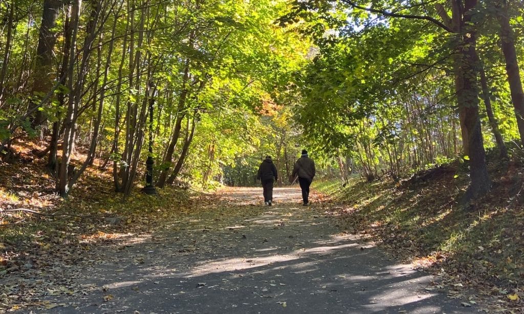 Northeast Path Fall Scenery