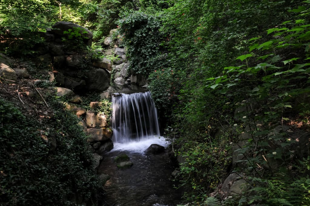 Image of waterfall, The Ravine