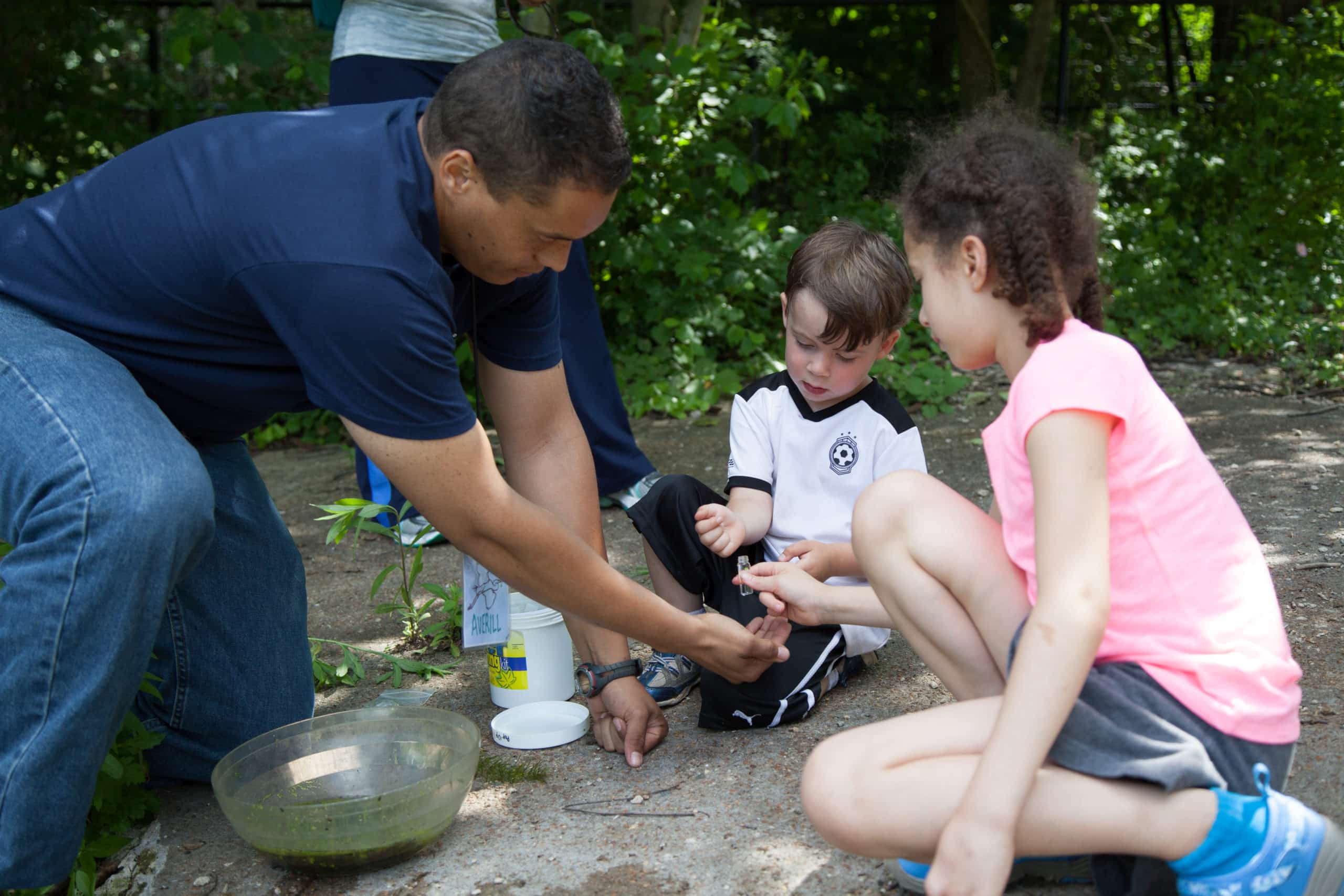 Pop Up Audubon, kids