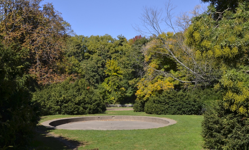 Check Out the Alliance's Vale Restoration Plans Online and Share Your Feedback Virtually