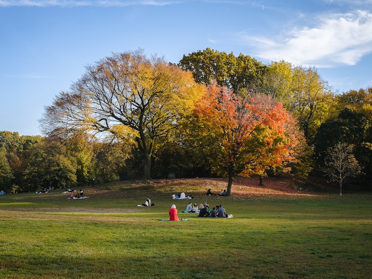 Sustain the Park That Sustains You! Support Prospect Park Alliance + Join the Fall Sustainer Challenge by September 30