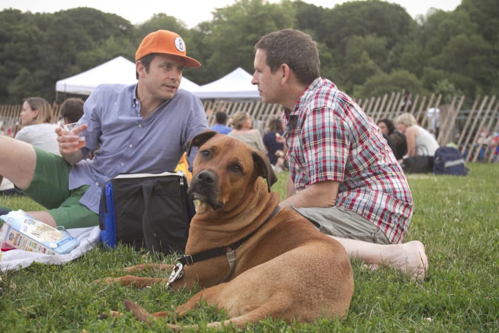 Dog at Picnic Summer