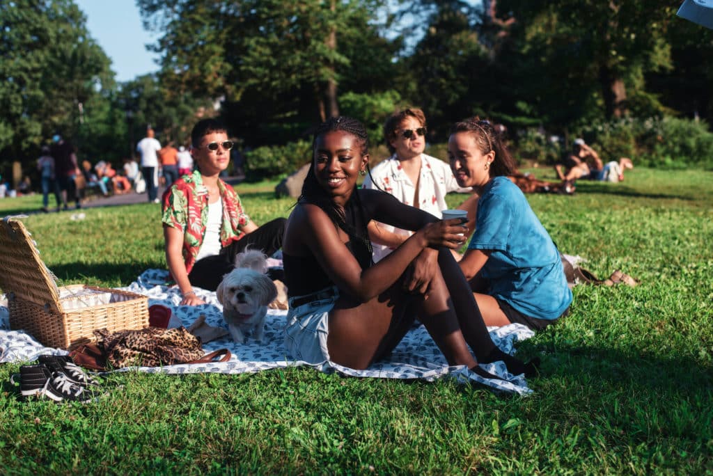 Picnic in the Park