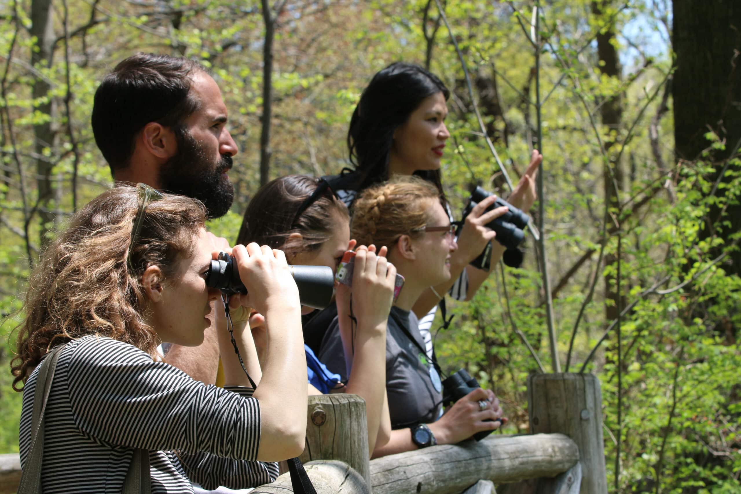 Fall Migration Bird Walks