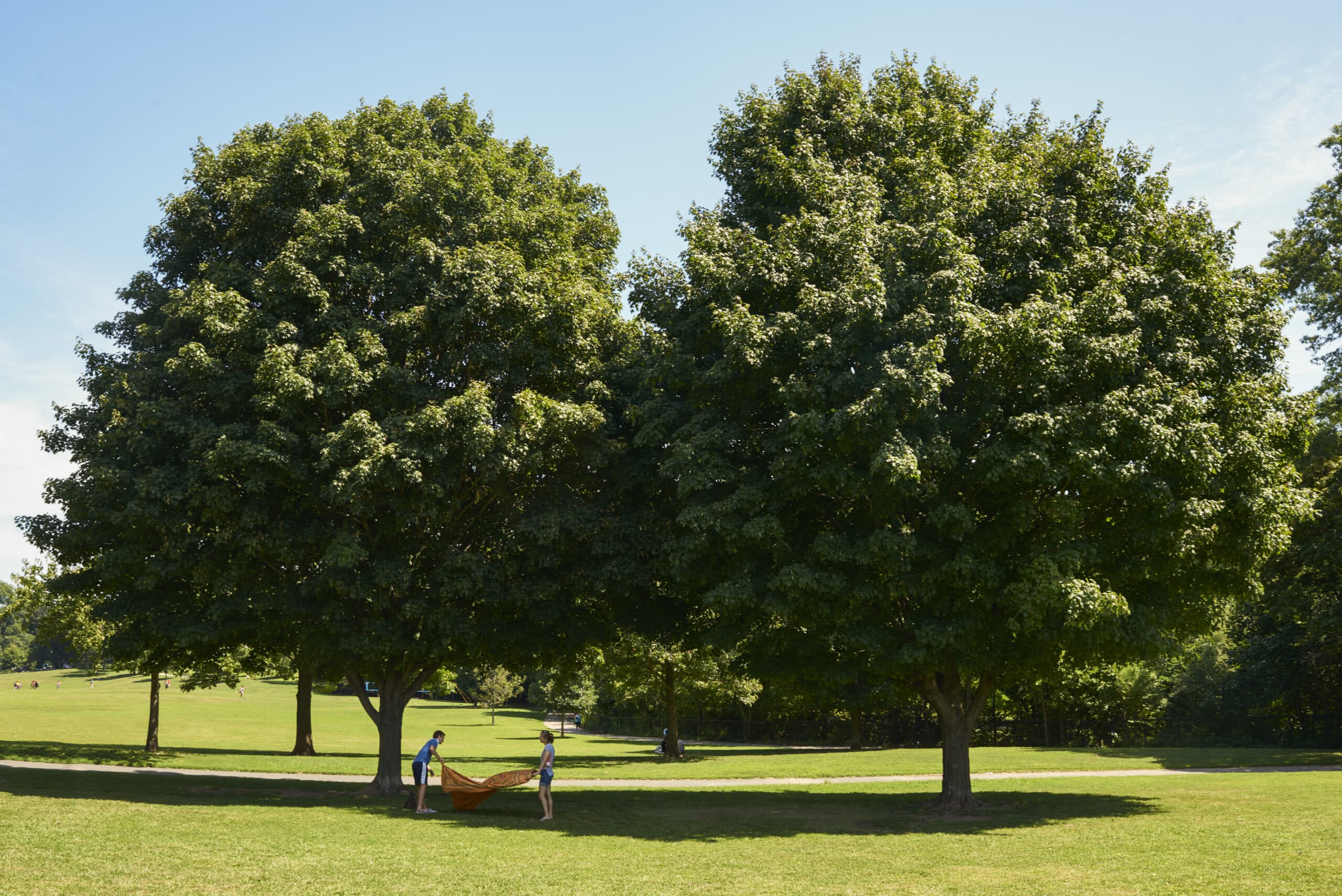 Things to Do - Prospect Park Alliance