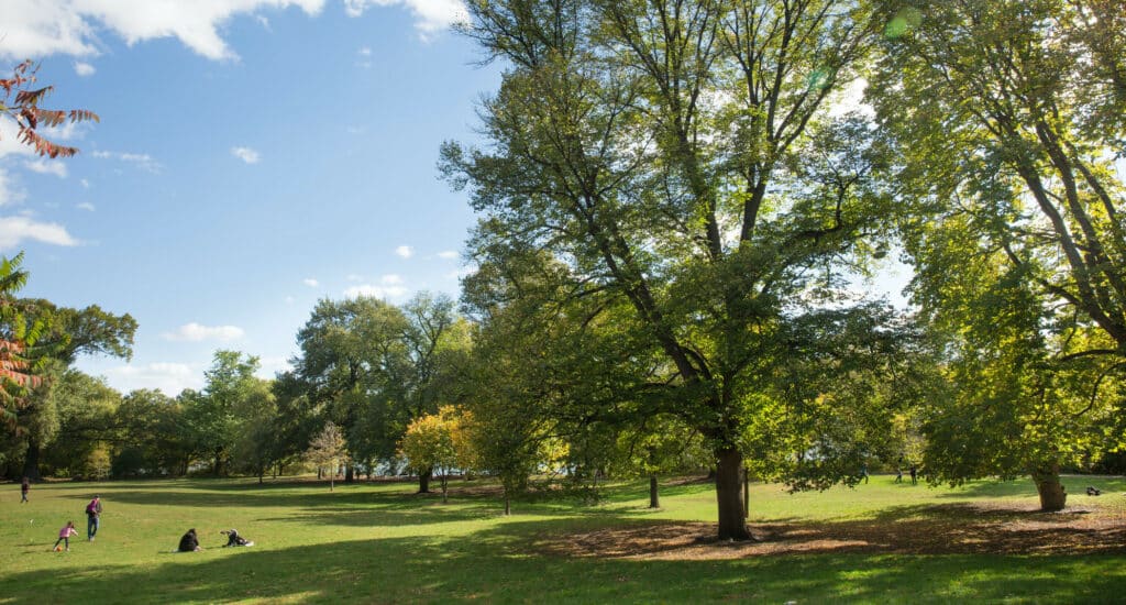 Photo of fall scenery