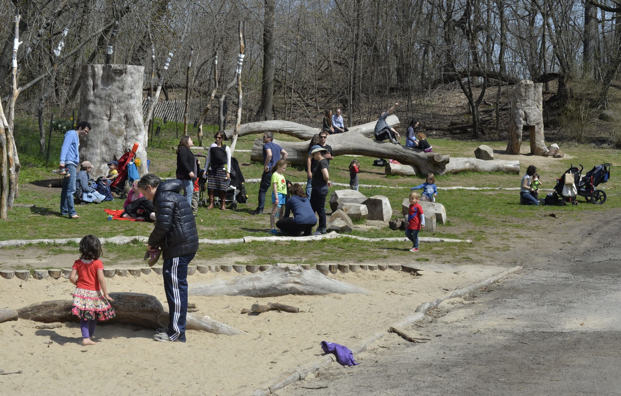 10 Years After Sandy in Prospect Park Prospect Park Alliance