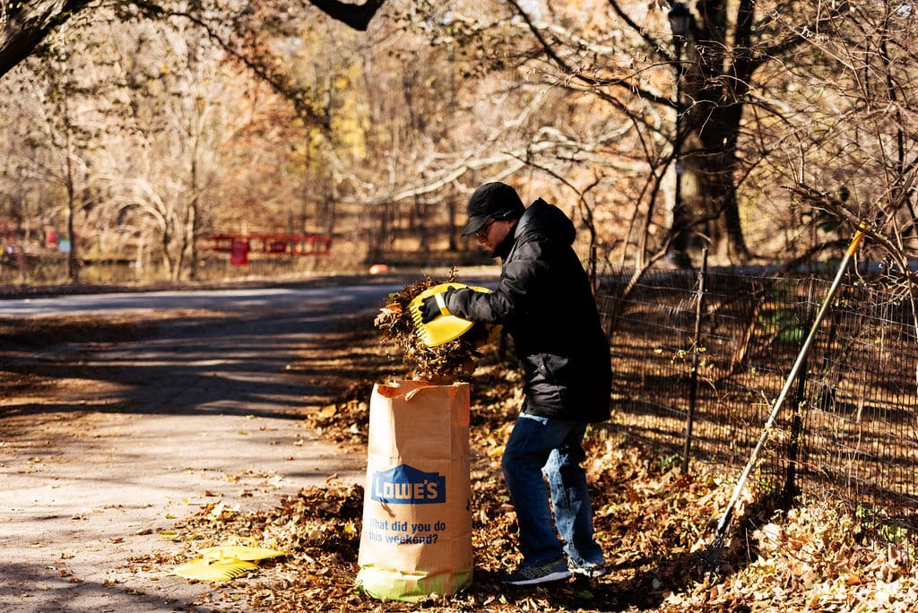 Raking Leaves Volunteer