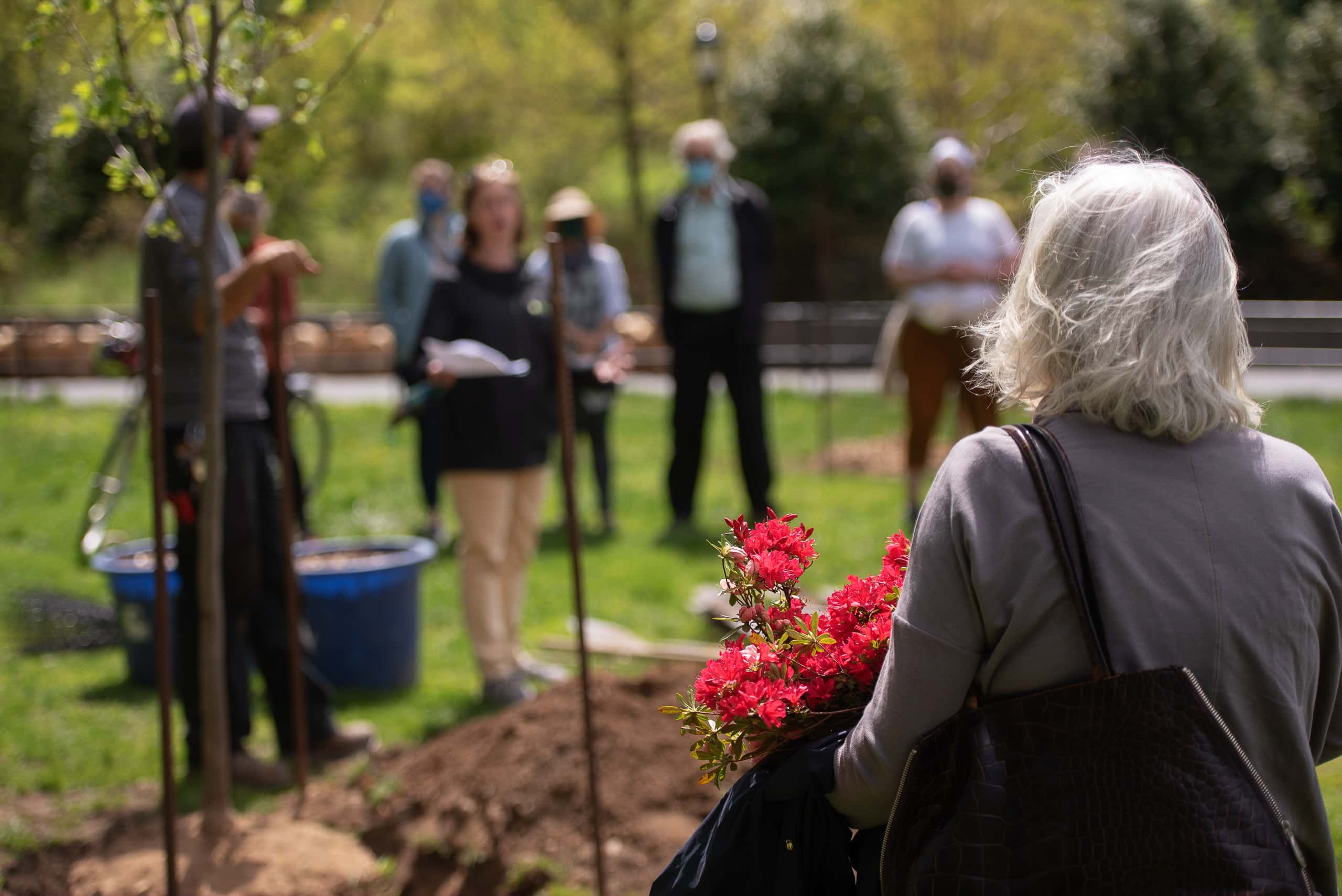 Commemorate Someone Special at the Community Arbor Day Planting on April 25