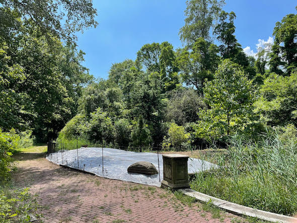 Solarization at work at the Children’s Pool in Prospect Park