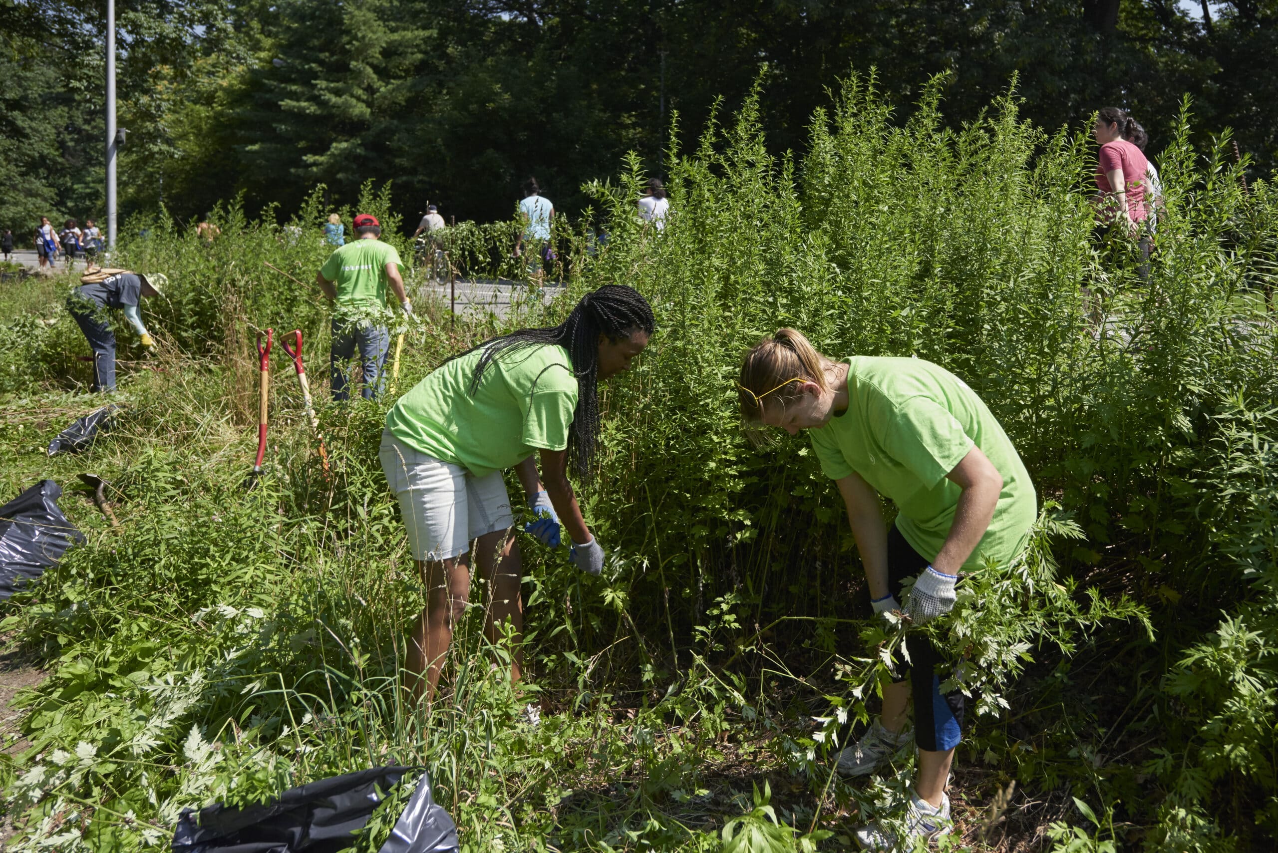 Photo of Volunteers