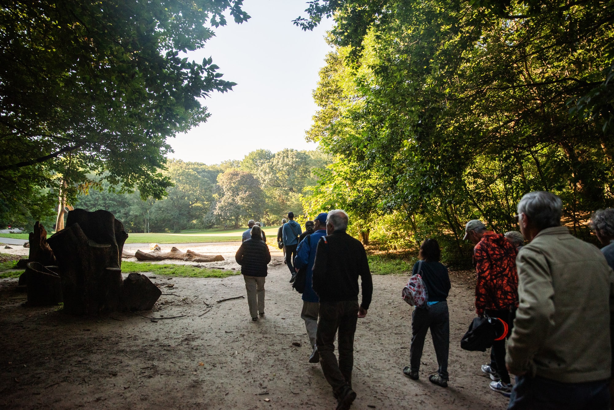 Prospect Park Walk