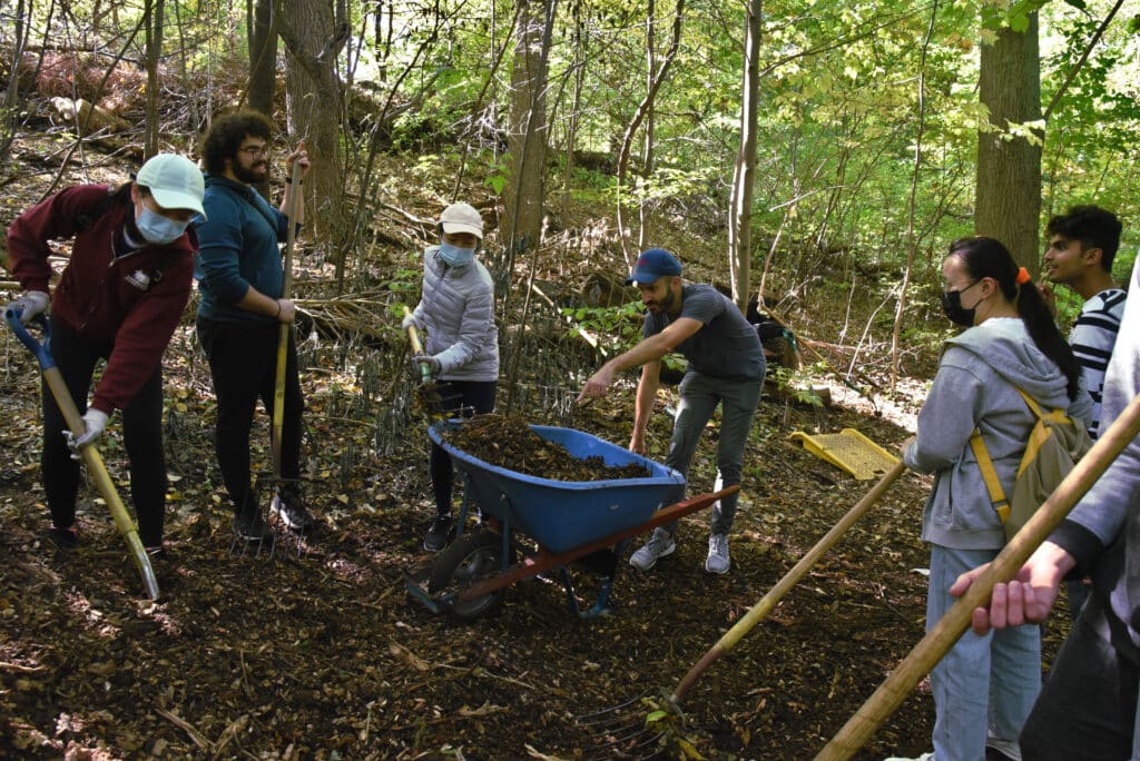 City of Forest Day Volunteer Event