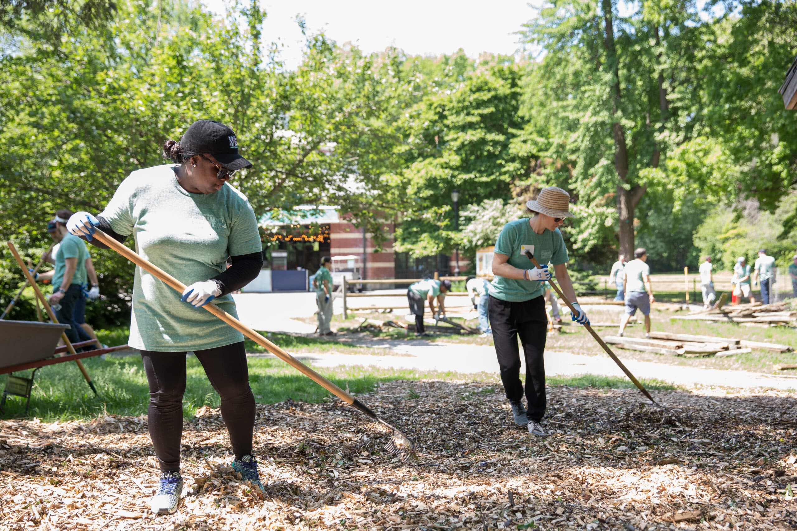 Prospect Park Alliance volunteers cleaning up tree bark.