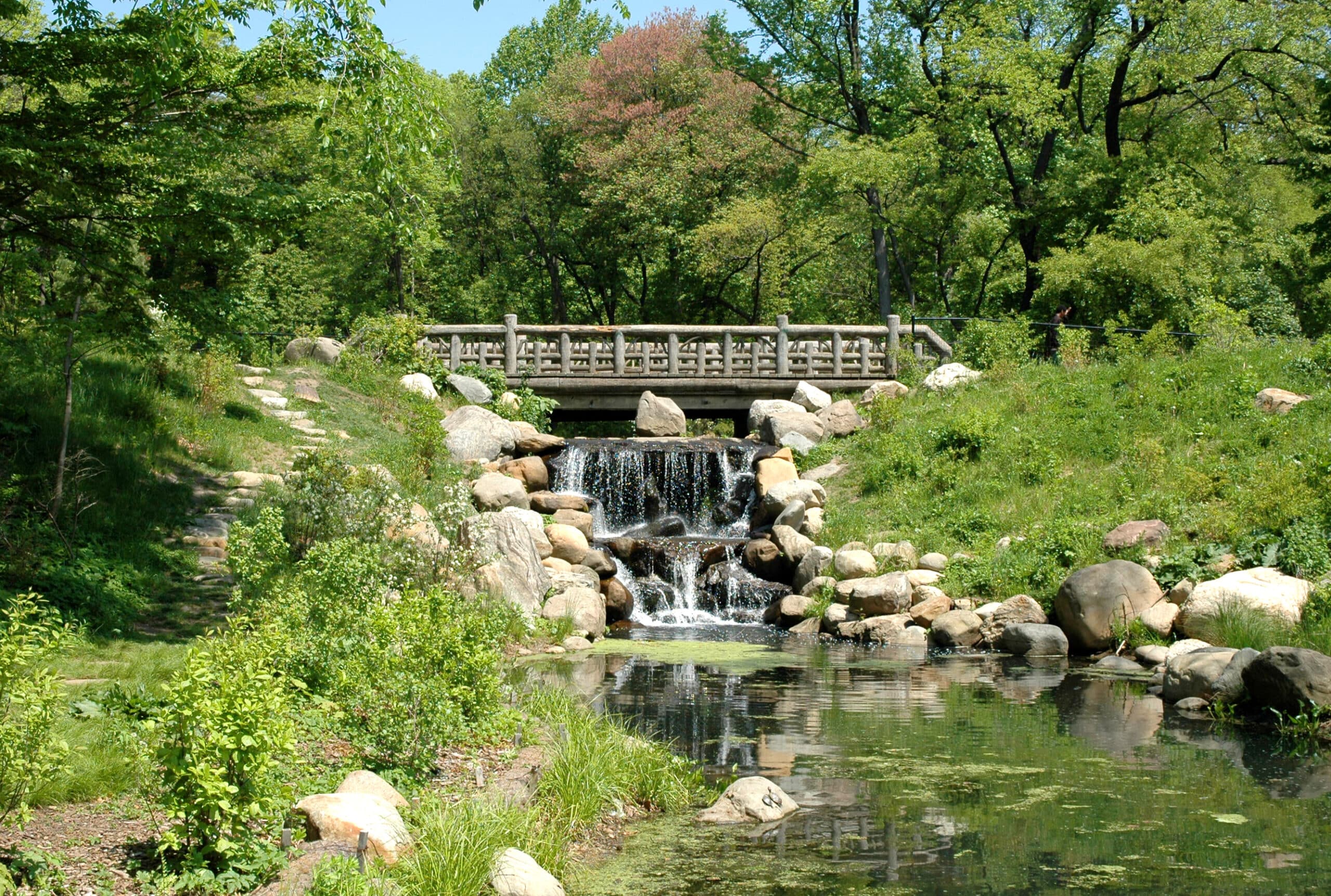 Greenery erupts around Binnen Bridge and water flows through Binnen Falls past rounded rocks and white blooming plants.