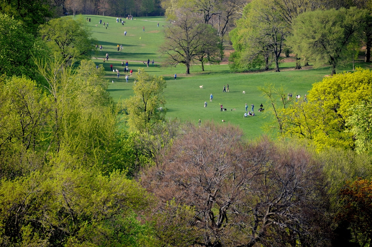 Aerial Photo of the Long Meadow in Prospect Park.