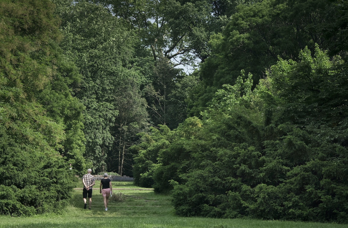 Two older individuals walking on a sunny spring day in Prospect Park.