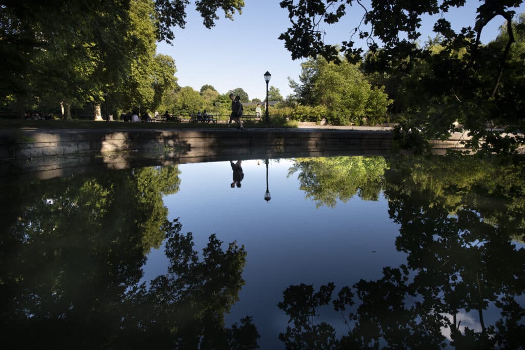 Summer in Prospect Park c. Martin Seck