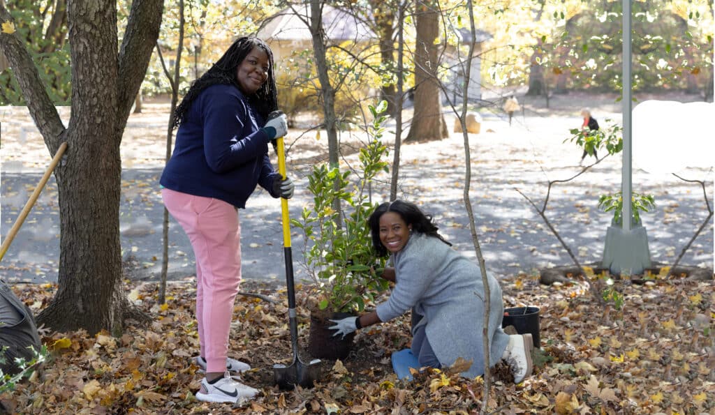 City of Forest Day in Prospect Park. c. Bess Adler