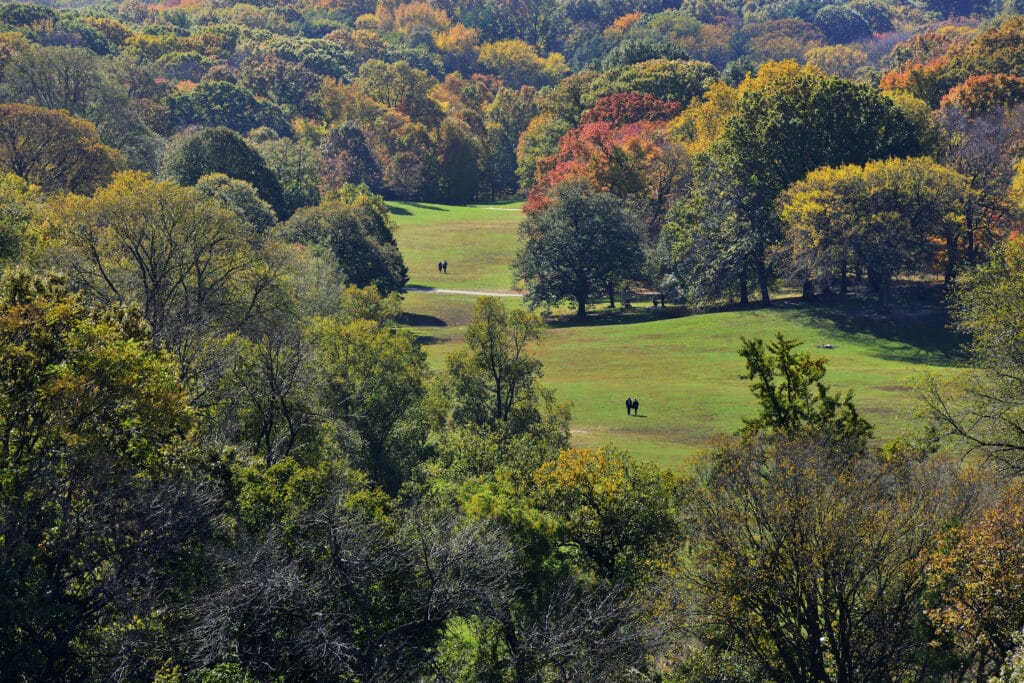 The Long Meadow from above in mid fall. The grass and trees are vibrant greens, yellows and reds.