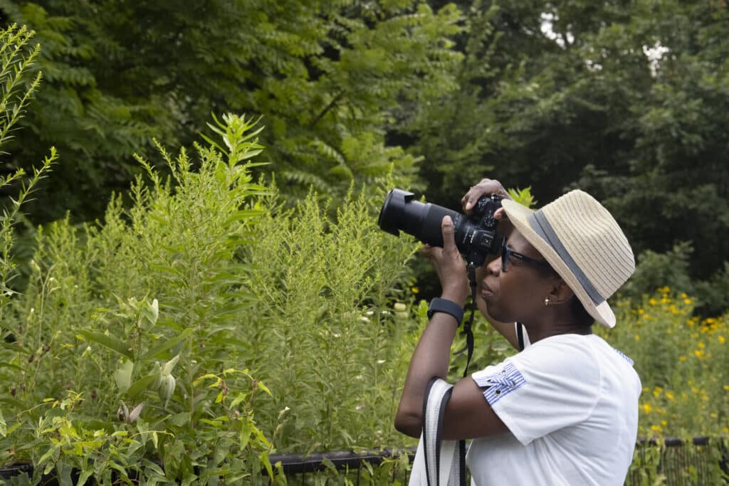 Birdwatching