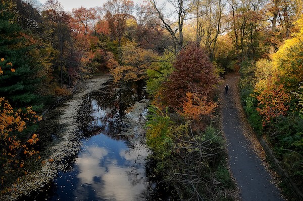 A Bright Future For Brooklyn Nature
