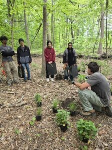 Woodland Youth Crew learn from a Prospect Park Alliance staff member how to plant trees