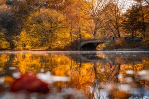 the Lullwater bridge in Prospect Park in the fall with changing fall leaves
