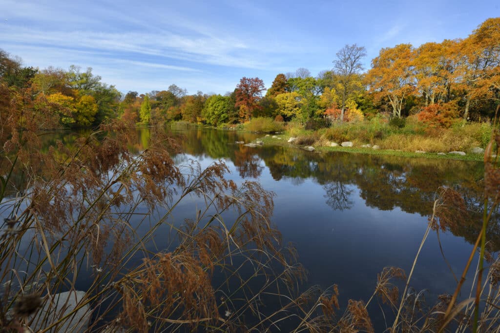 the lake at Prospect Park with fall colors
