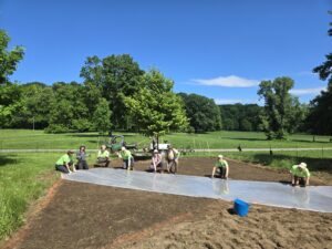 PPA volunteers and staff lay down plastic over soil on a sunny day in Prospect Park to solarize the area