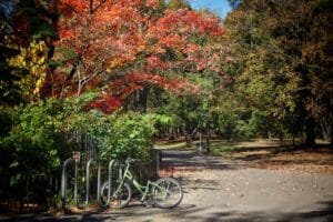a photo of a bicycle parked in the park with fall leaves all around