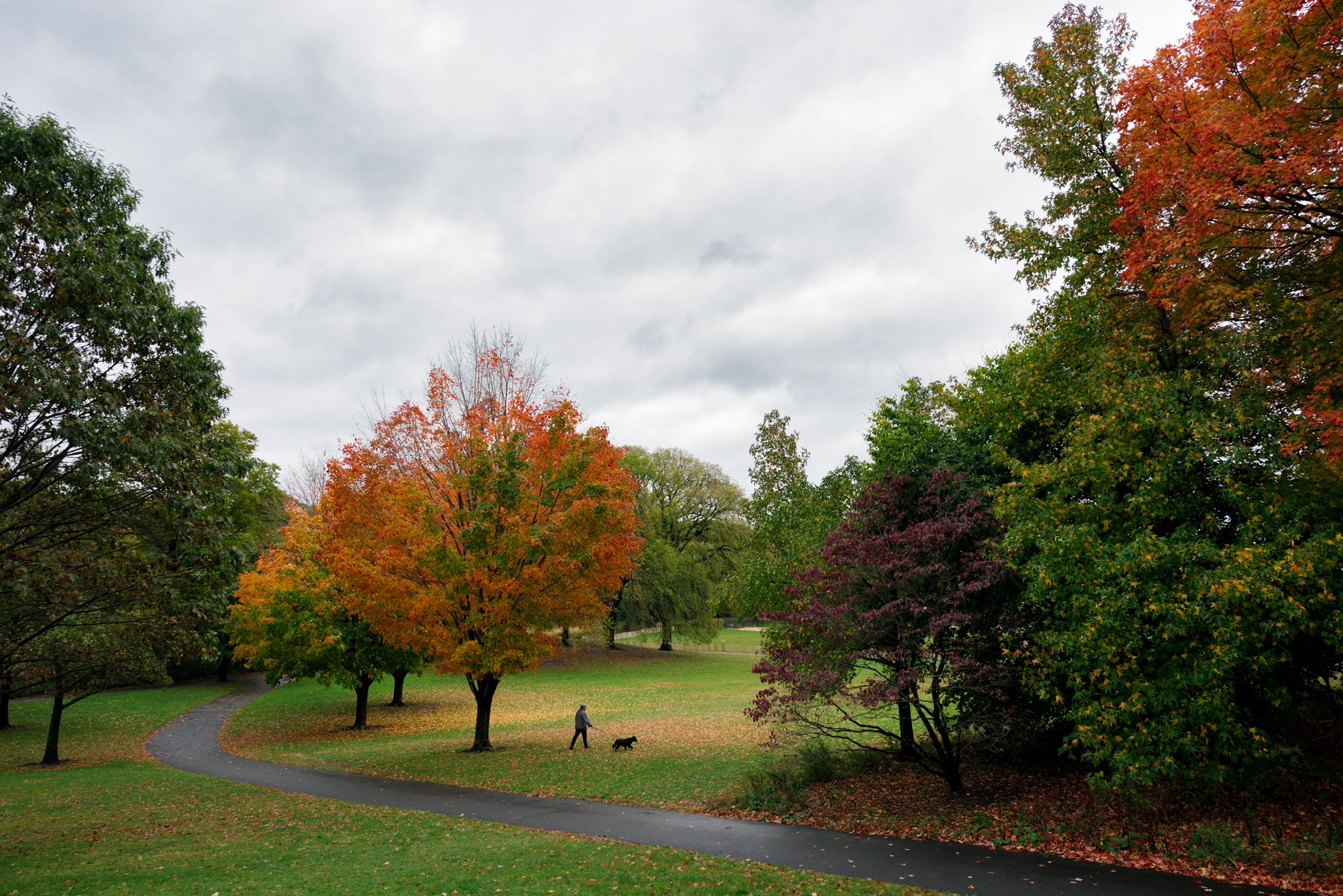 Welcome - Prospect Park Alliance