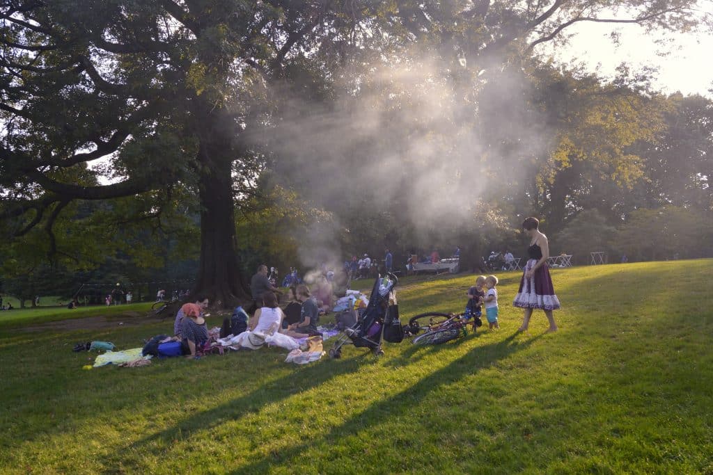 people on a grassy hill with barbecue smoke in the air
