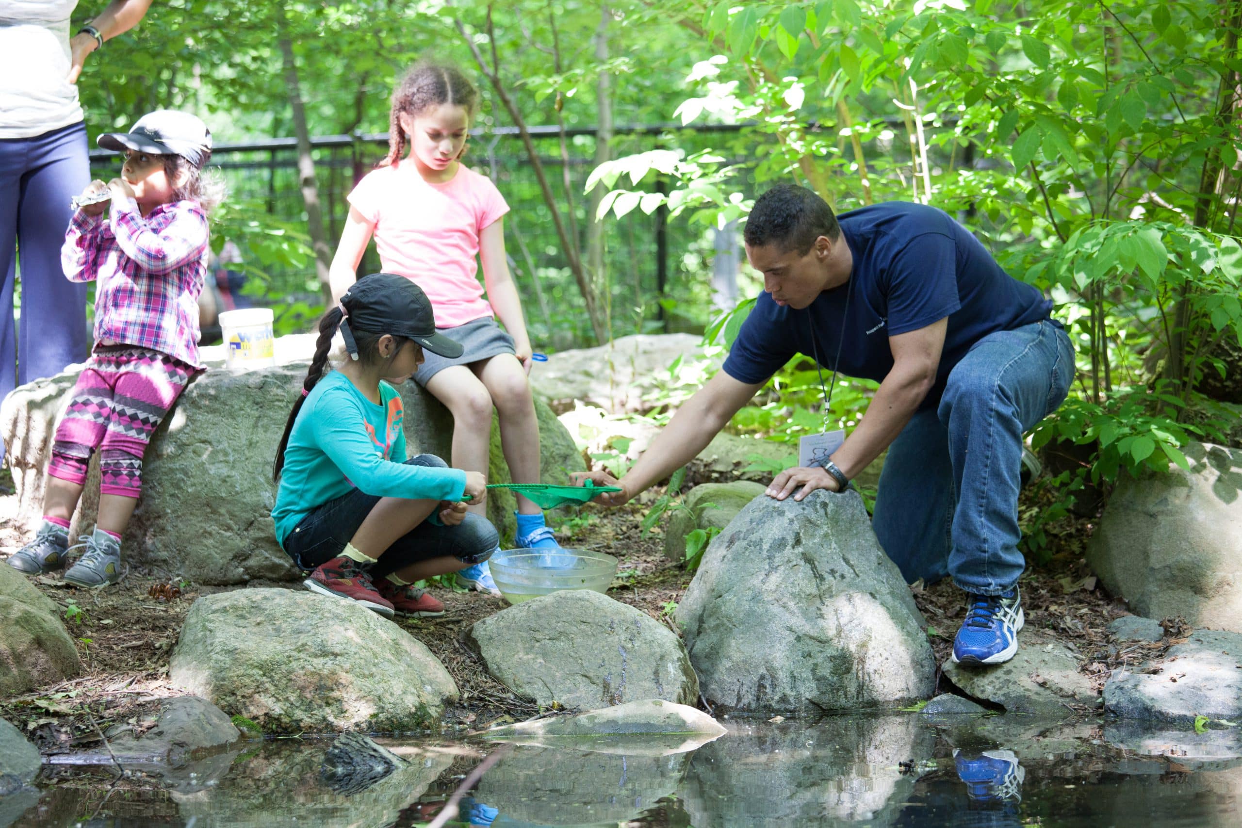 Pop-Up Audubon