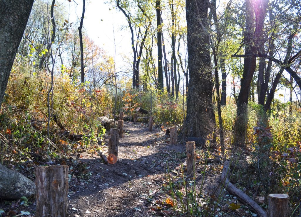 Vale of Cashmere-Rustic Trail