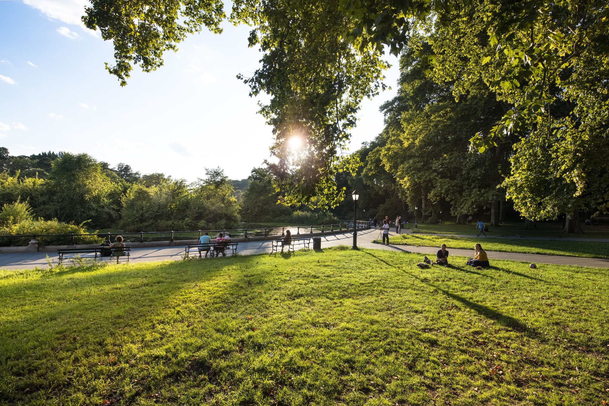 Make the Most of Brooklyn's Backyard + Become a Prospect Park Alliance Member!
