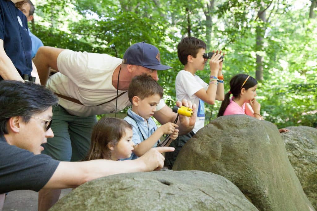 bird watching tours nyc