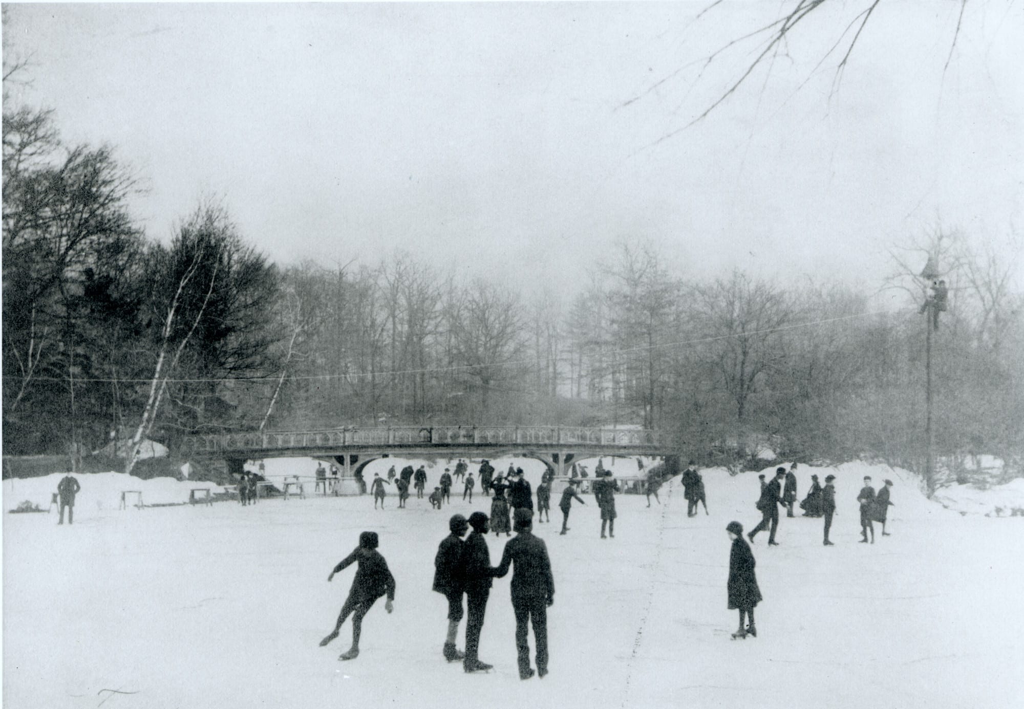 From the Archives Skating through History Prospect Park Alliance
