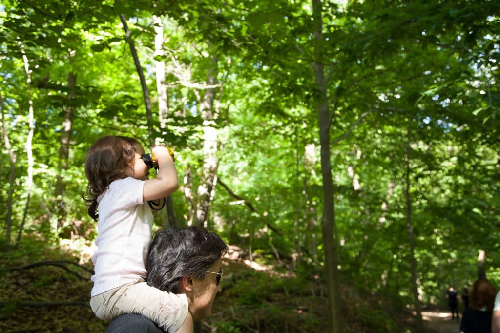 Kid and Adult Bird Watching