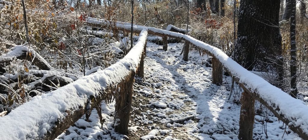 Rustic Trail Snow-Vale Restoration