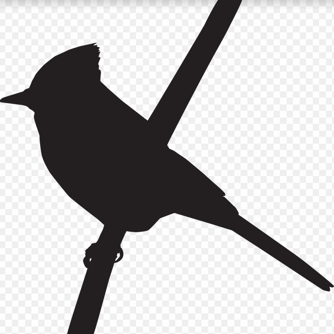 BirdSticker1.png