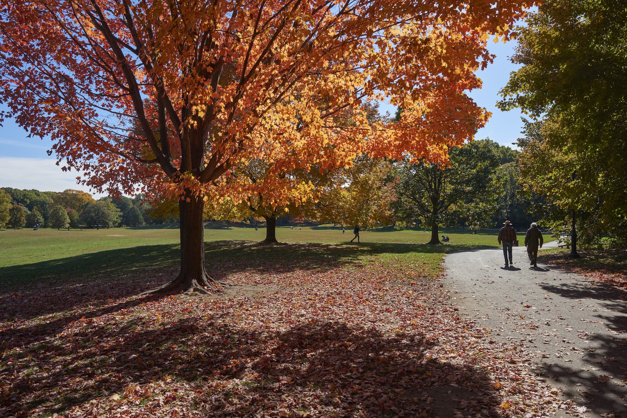 Support Your Park! Donations Matched Dollar-for Dollar Through December 31