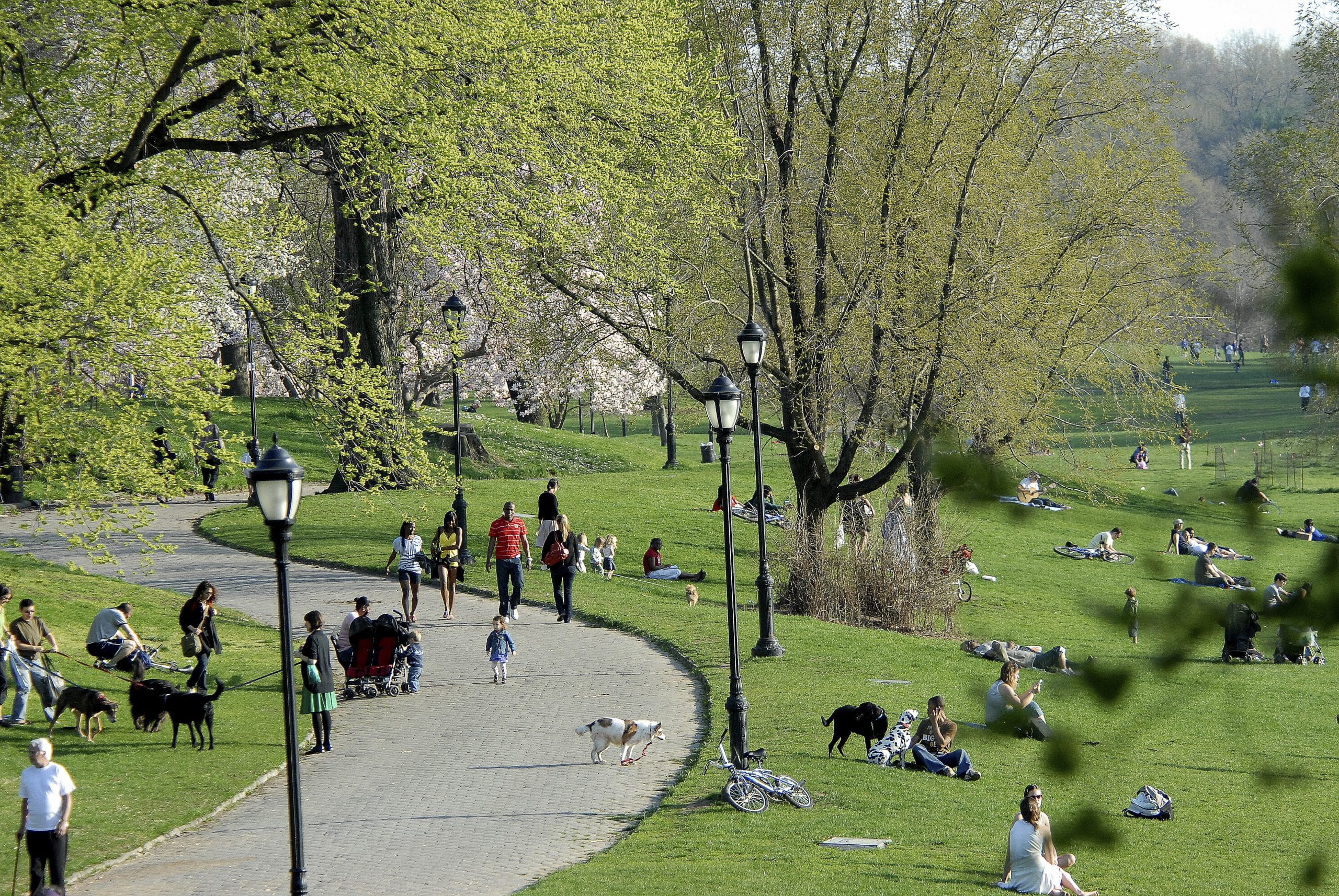 Visit the Park Prospect Park Alliance