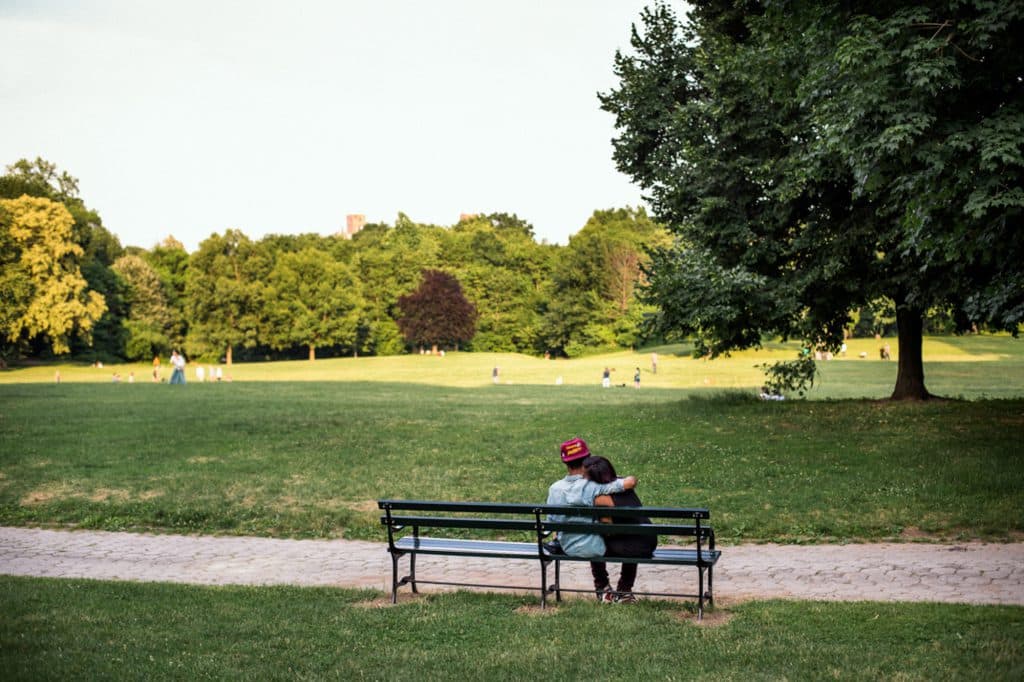 Long Meadow Bench Summer