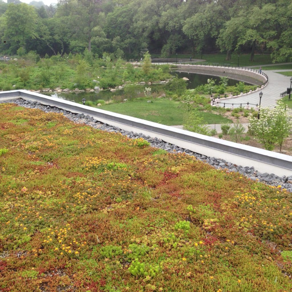 LeFrak Center Sustainable Features