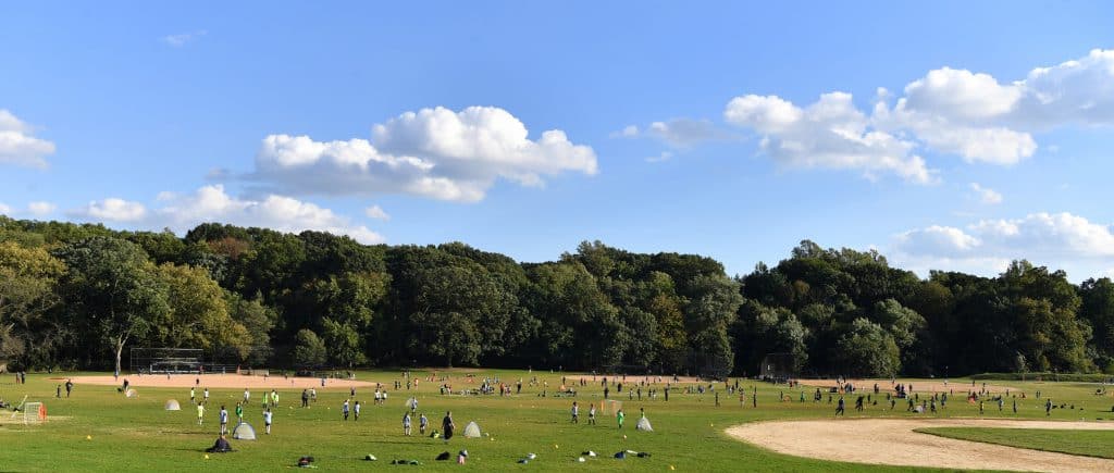 long meadow ball fields fall