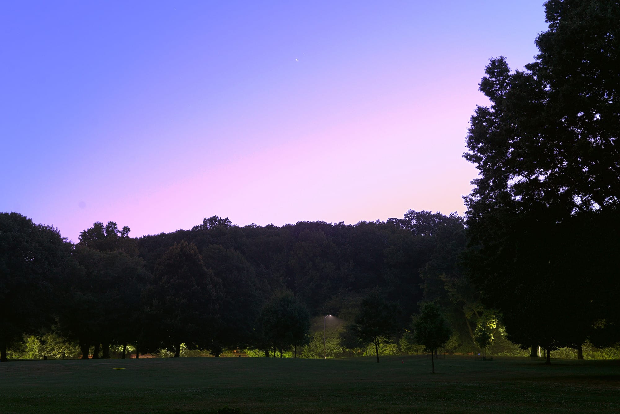 Prospect Park 150 Catch A Summer Movie Under the Stars Prospect Park