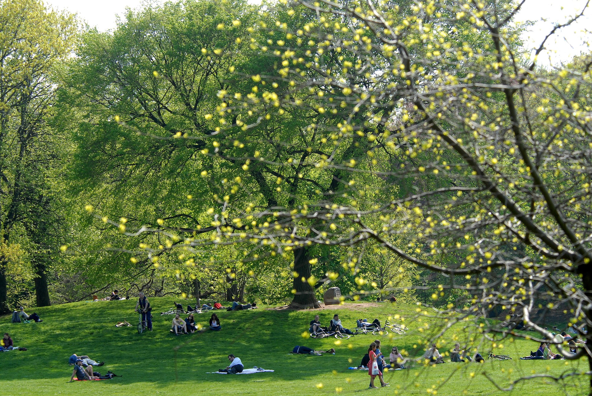 Sustain the Park that Sustains You! Your Support is More Important Than Ever Before to Help Brooklyn's Backyard Thrive.